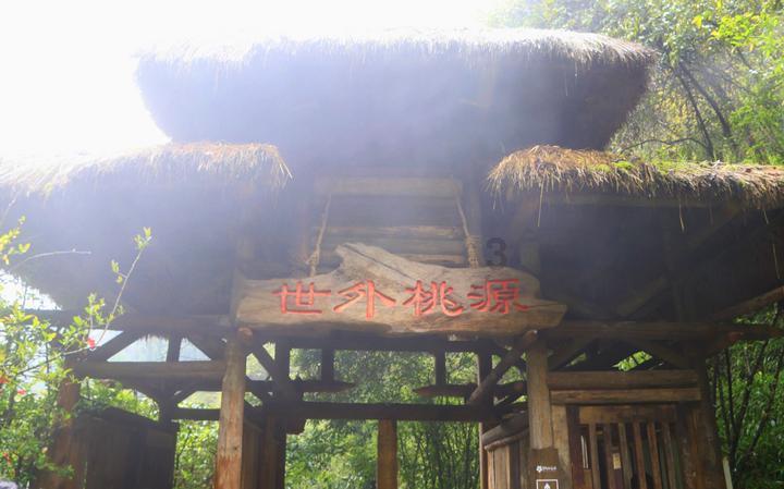 妙鸭相机app下载官网